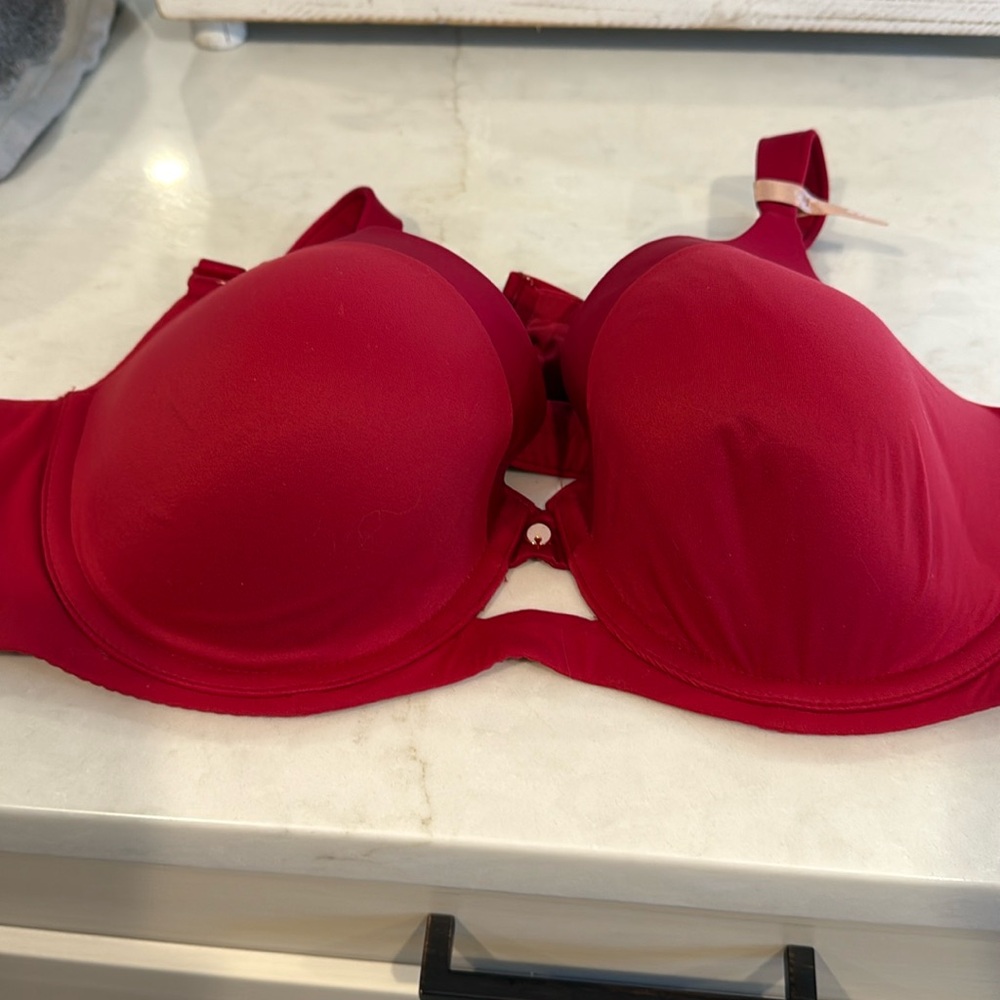 Ambrielle full coverage 42C bra